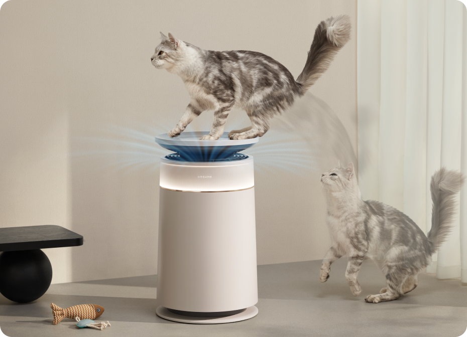 Stressprävention bei Katzen*