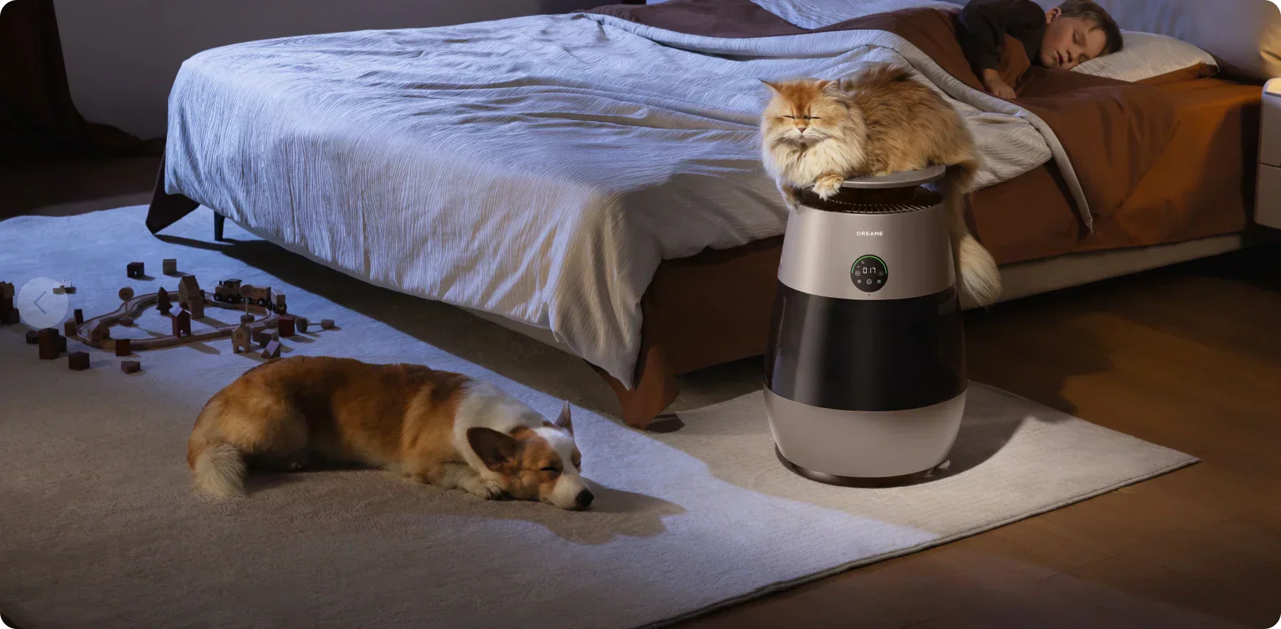 Frisch atmen, glücklich leben: Lernen Sie den AP10 Luftreiniger für Haustiere kennen