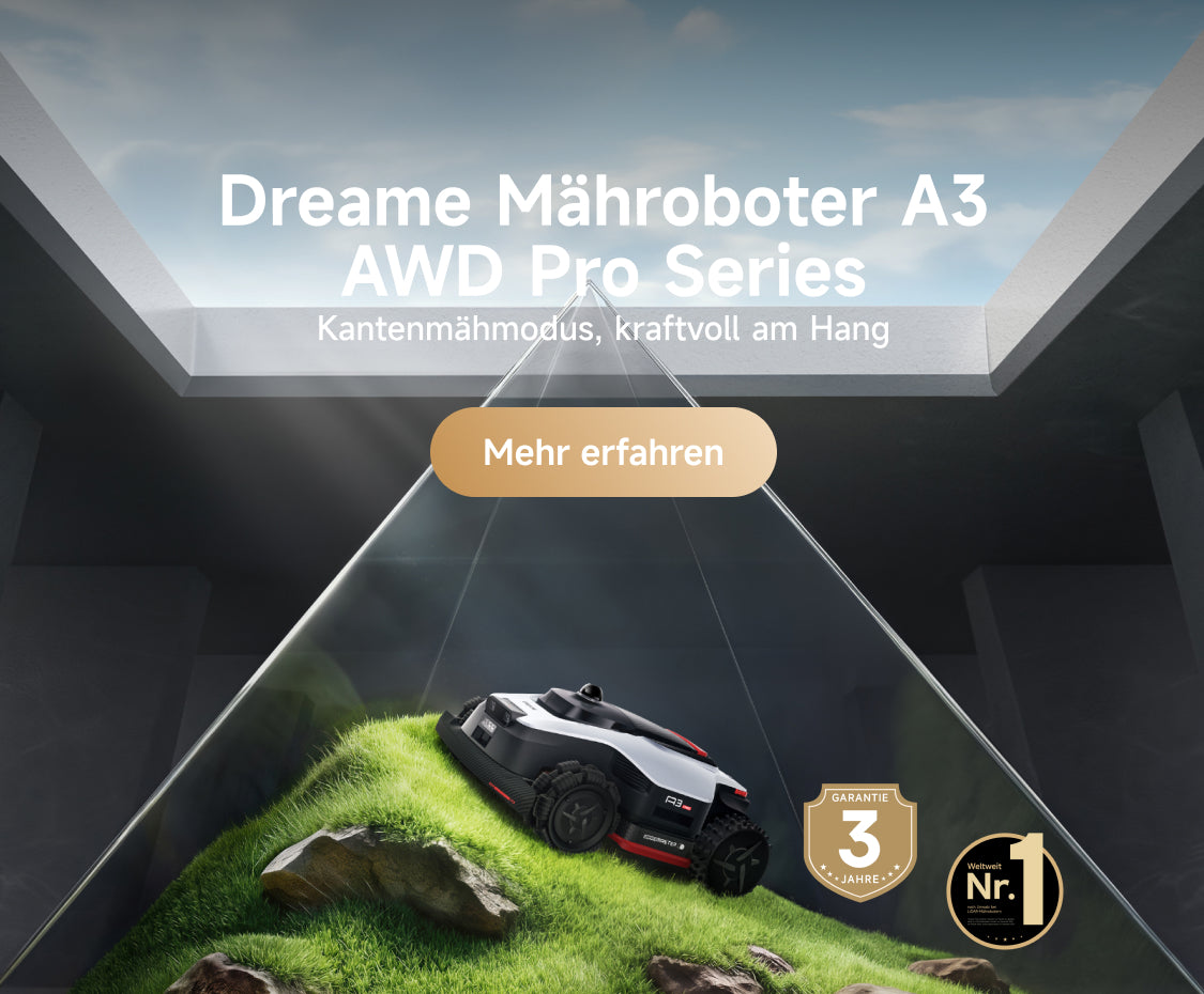 Dreame