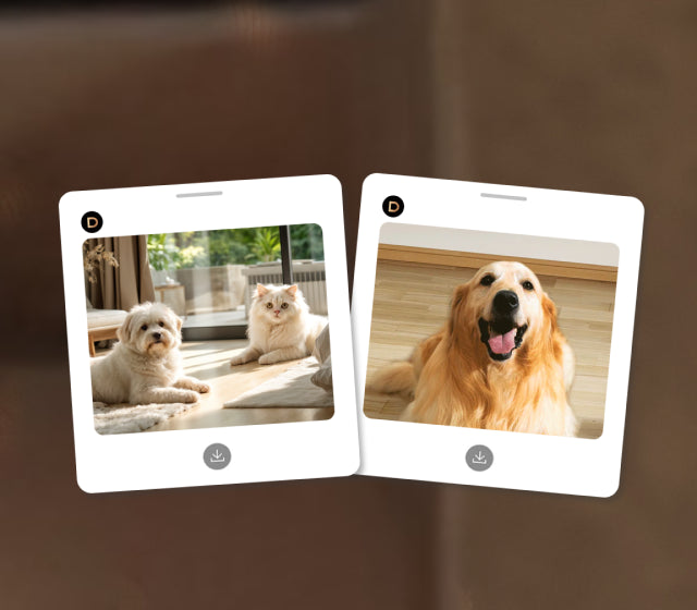 Dreame Aqua10 Ultra Roller Complete Haustier Finden und Fotos Funktion mit aufgenommenen Hundebildern