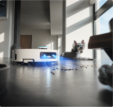 Dreame Aqua10 Ultra Roller Complete AstroVision KI weicht Haustieren aus und reinigt sicher um Näpfe und Spielzeug