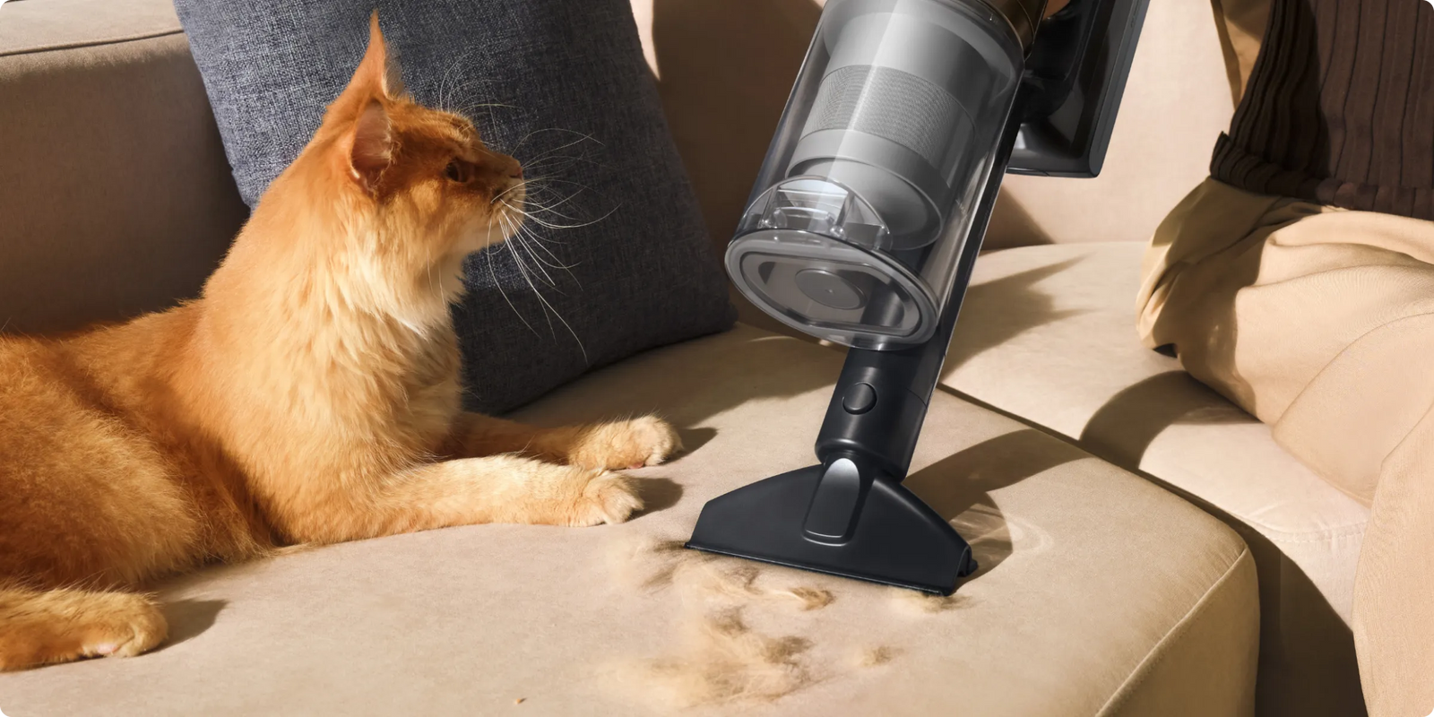 Dreame   Z30 Pro Aqua-A Tierhaarbürste zur effektiven Entfernung von Katzenhaaren auf dem Sofa